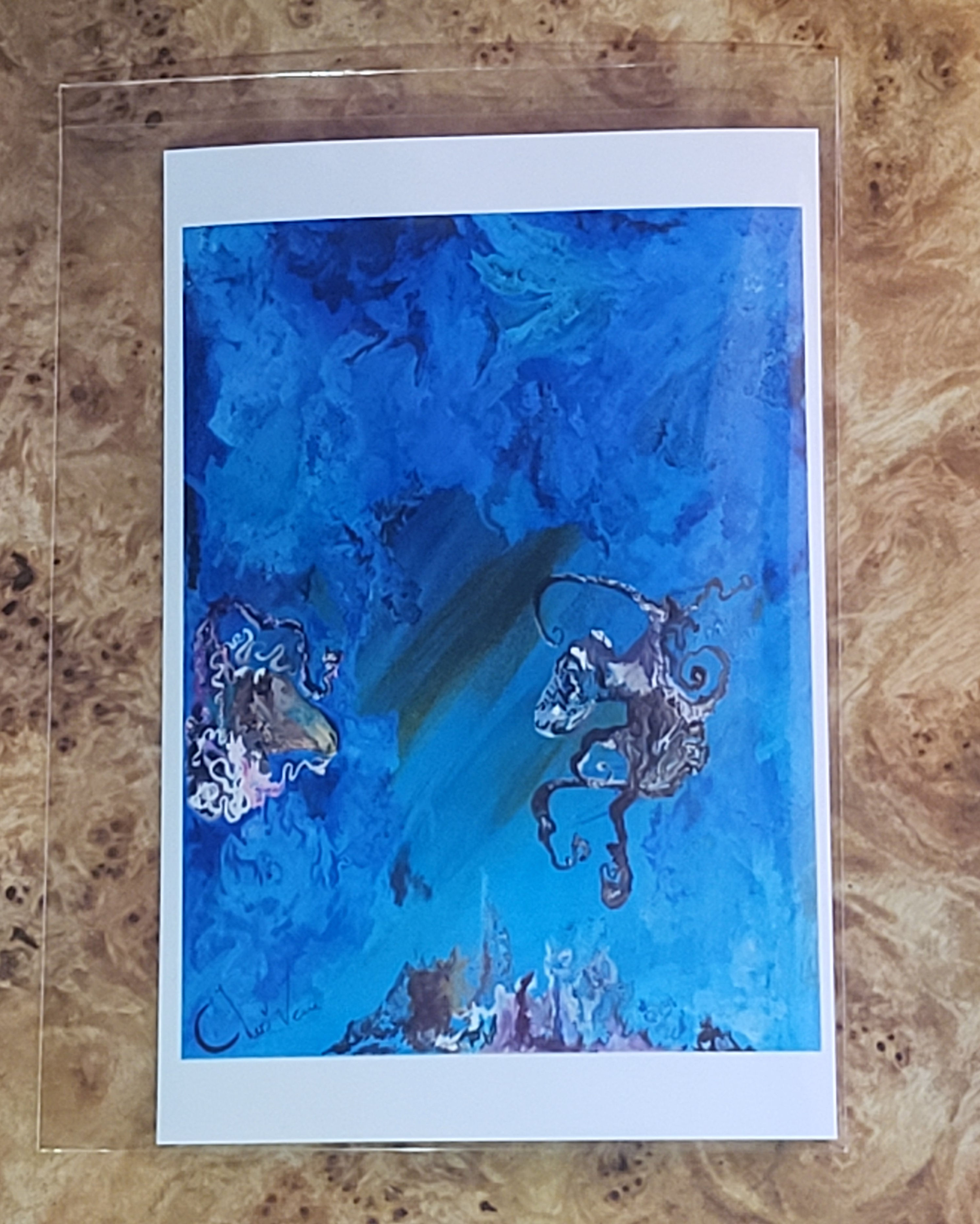 Canyon Cove ' Octopus' Print🐙🦑