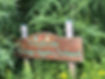 Apple Orchard.jpeg