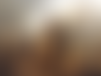 Um exercício de empatia. Um estudo sobre o custo da obediência