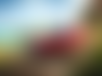 Jogos Microsoft no Playstation? Forza Horizon 5 e rumores!