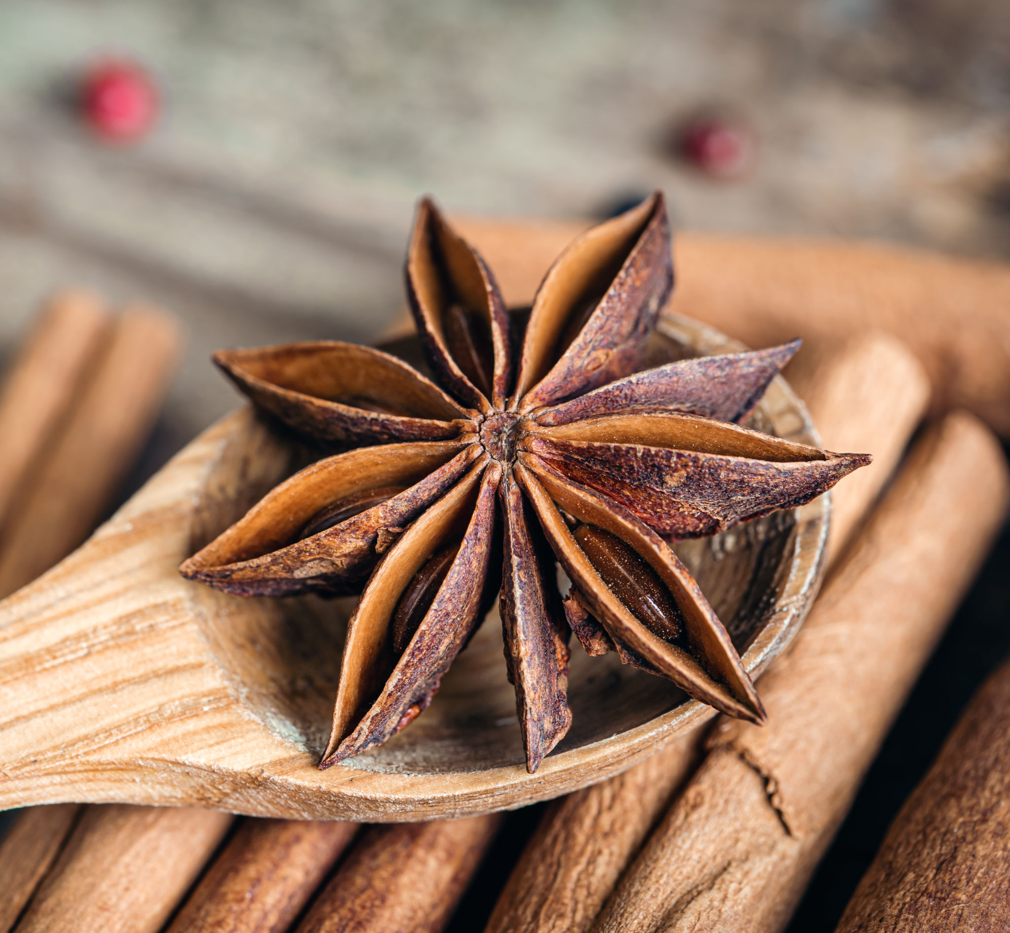 Star Anise