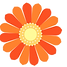 flower 2.png