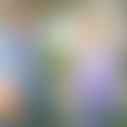 Compassionate CareFirst Home Health Agency in Philadelphia