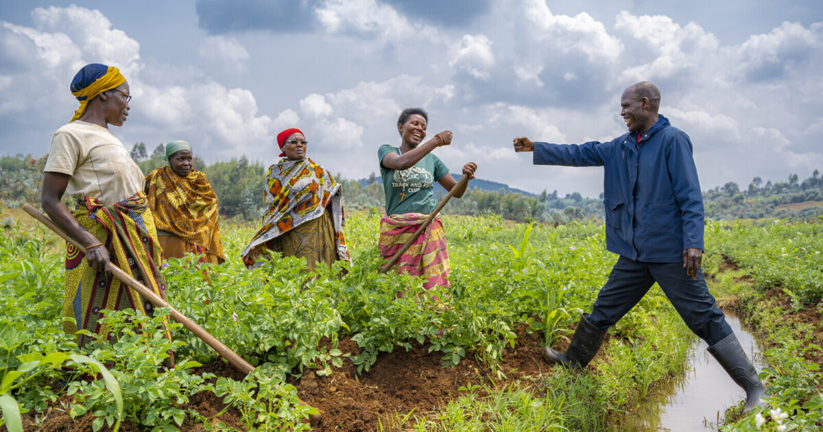 Agribusiness Developing the agribusiness sector in Liberia could help to create jobs and more