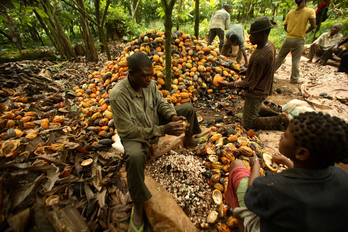 Value Addition: Liberia has abundant natural resources, but most of these are exported in raw form.