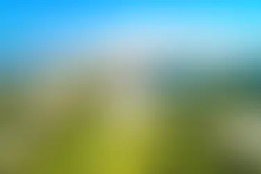 Starting Home Care Agency in Louisiana