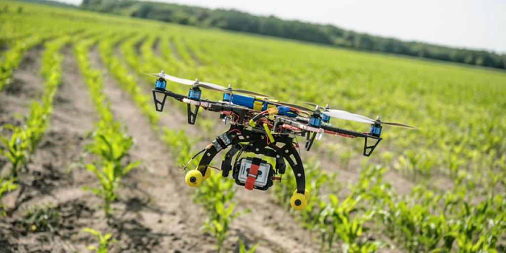 The Potential Benefits of AI Integration in Liberian Agriculture