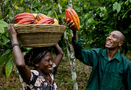 Value Chains: Liberia has significant potential to develop its agricultural value chains