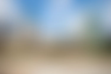 Starting Home Care Agency in Illinois