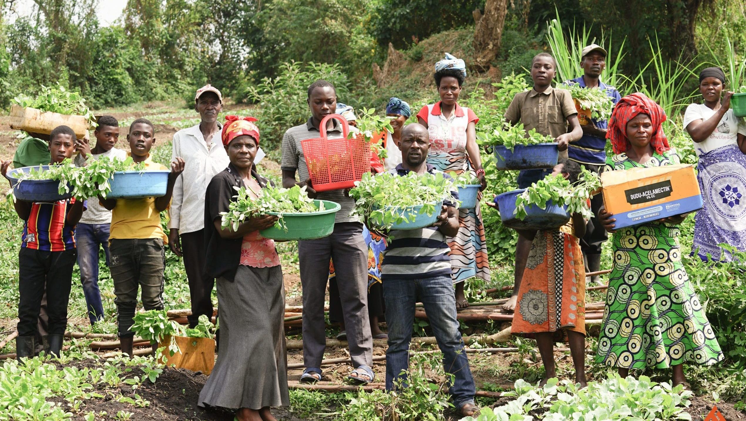 Smallholder AgricultureSmallholder farmers form the backbone of Liberia's agriculture sector