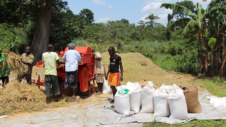 Promoting local manufacturing: High Import dependency makes the economy vulnerable