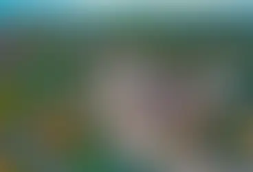 Starting Home Care Agency in New Hampshire