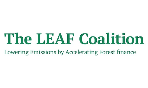 leaf_thumbnail_1536x1536.webp
