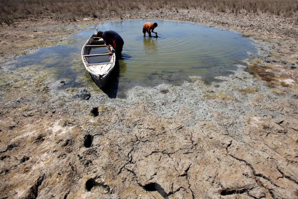 Climate change and environmental issues