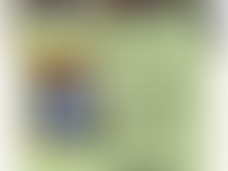 A Partnership in Action: Community-Driven Trainings for Schools