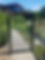Fence 1.jpg