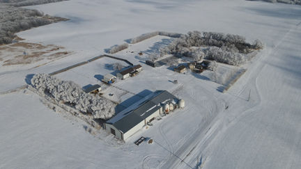DJI_0705.JPG
