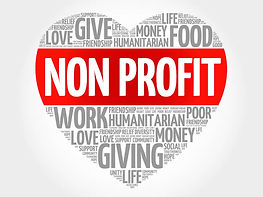 Elanas-Non-Profits.jpg