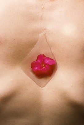 nude chest of a man with inverted ribs having a patch of water in the whole and a flower floating on it.