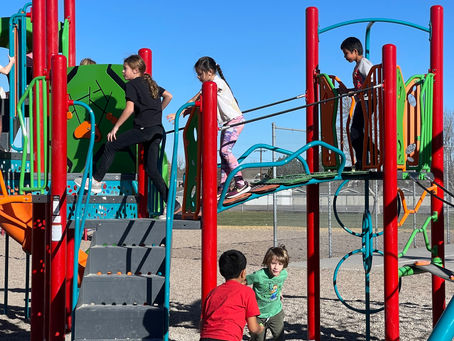 Longfellow and Roosevelt playgrounds are installed