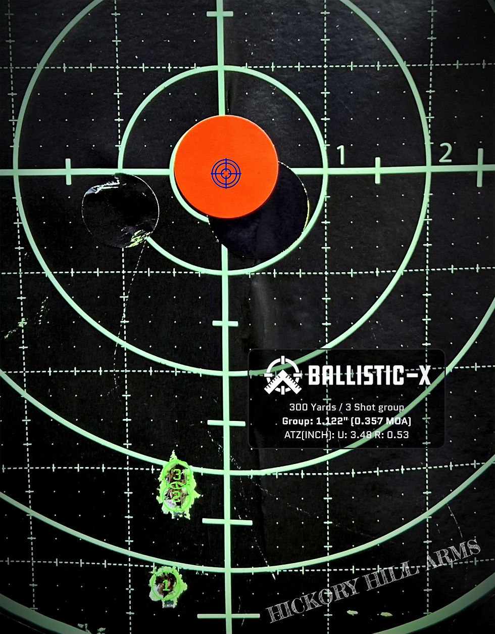 An Accurate 308 Bolt Gun!