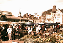 Sunday Market_edited_edited_edited_edite