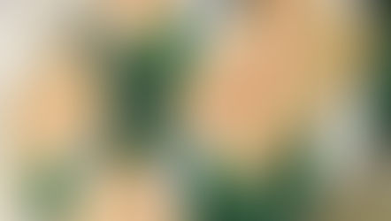 【2021 Reflections】