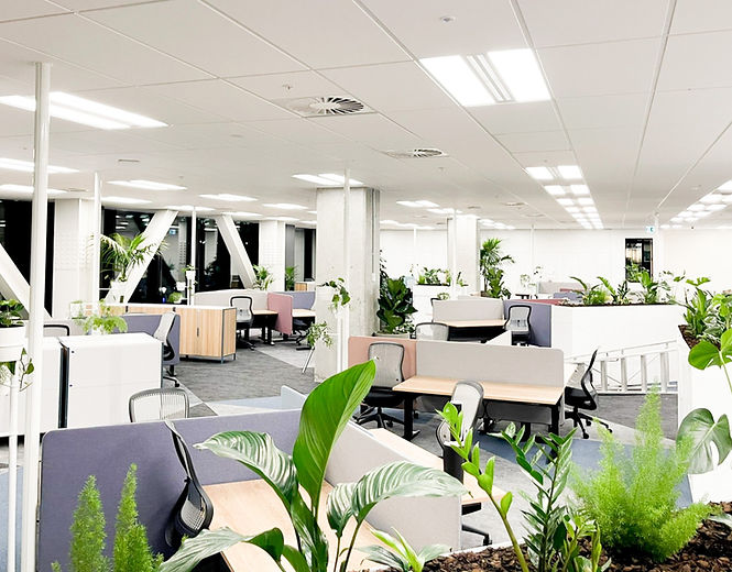 completed fit-out of new commercial furniture