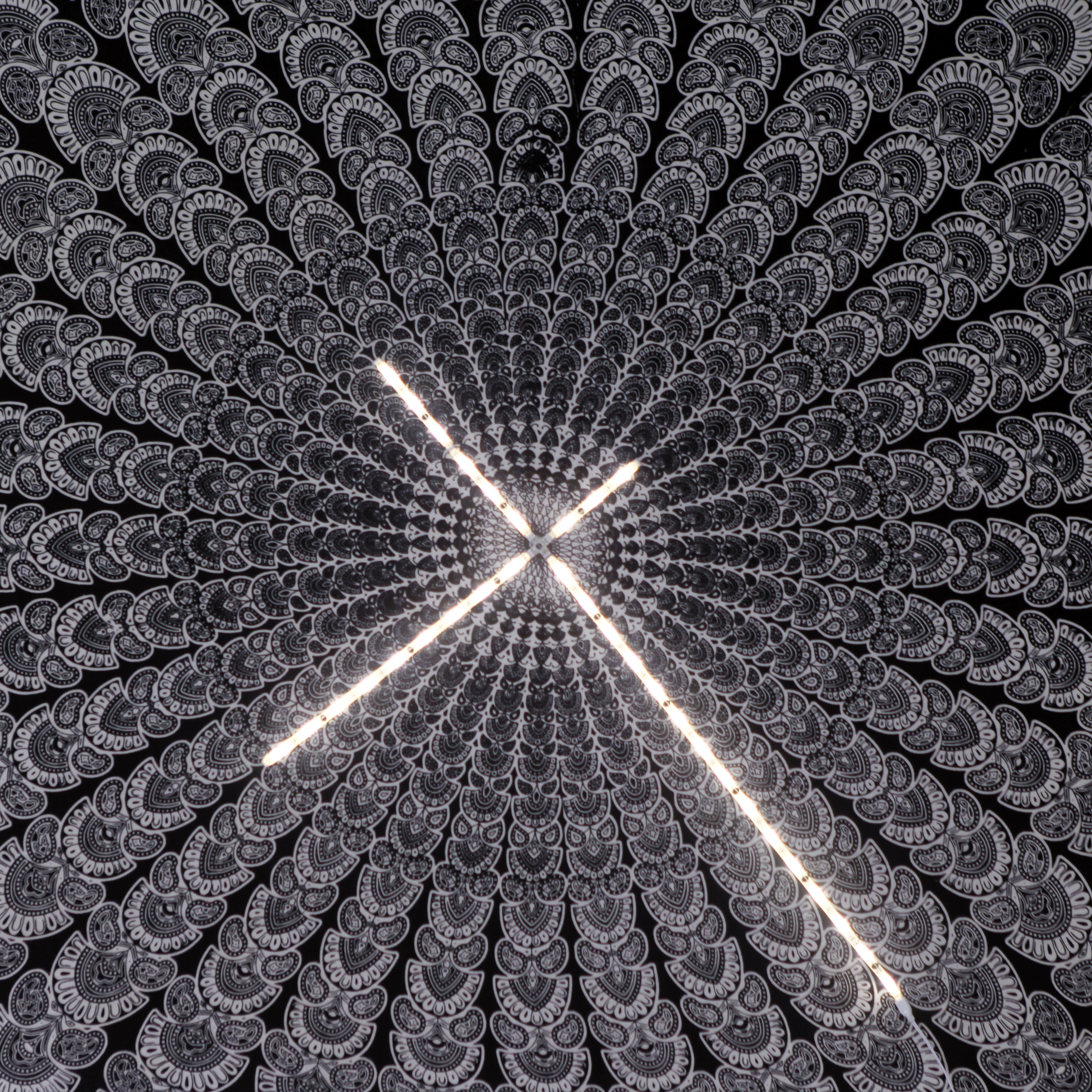 "Meditazione centripeta"