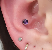 conch 3.jpg
