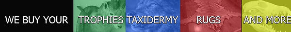 buy-banner-horizontal.jpg