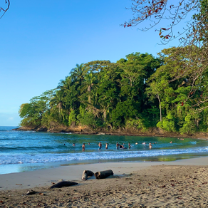 Costa Rica’s Preferred Tourist Profile for 2025:  Who They Are and Why They Matter.
