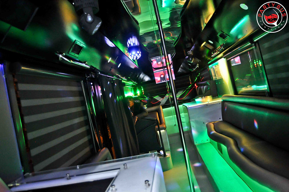 Party Bus Punta Cana
