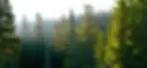 map bg.jpeg