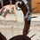 Thumbnail: Sterling Western Letter Pendants 
