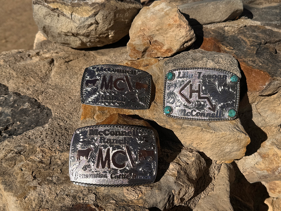 42C02AC9-71F0-45C7-B906-569E3851337D