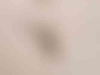 Free Capybara Knitting Pattern