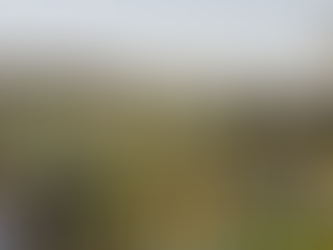 Editorial: A liberdade prevalecerá sobre o arbítrio.