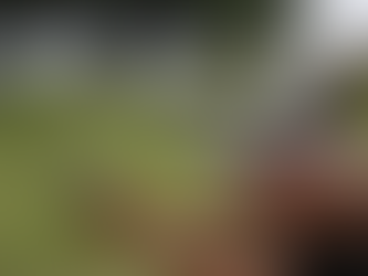 Editorial: Povo armado não é escravizado.