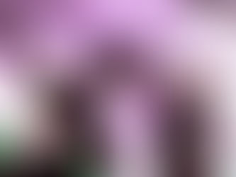 Emma & Darren's Wedding at the Gatwick Europa Hotel