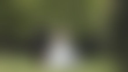 Alex & John Wedding at Tilgate Park, Crawley, West Sussex