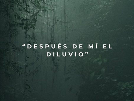 “DESPUÉS DE MÍ EL DILUVIO”