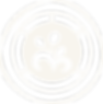 BMW - Web Signet Footer_4x.png