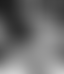 The History of Flattop Boogie