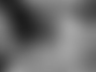 The History of Flattop Boogie