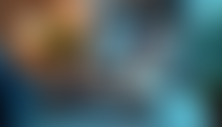 A Wix website with dynamic animations on scroll