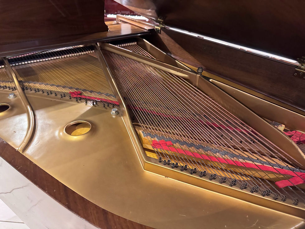 Thumbnail: Baldwin L Grand Piano