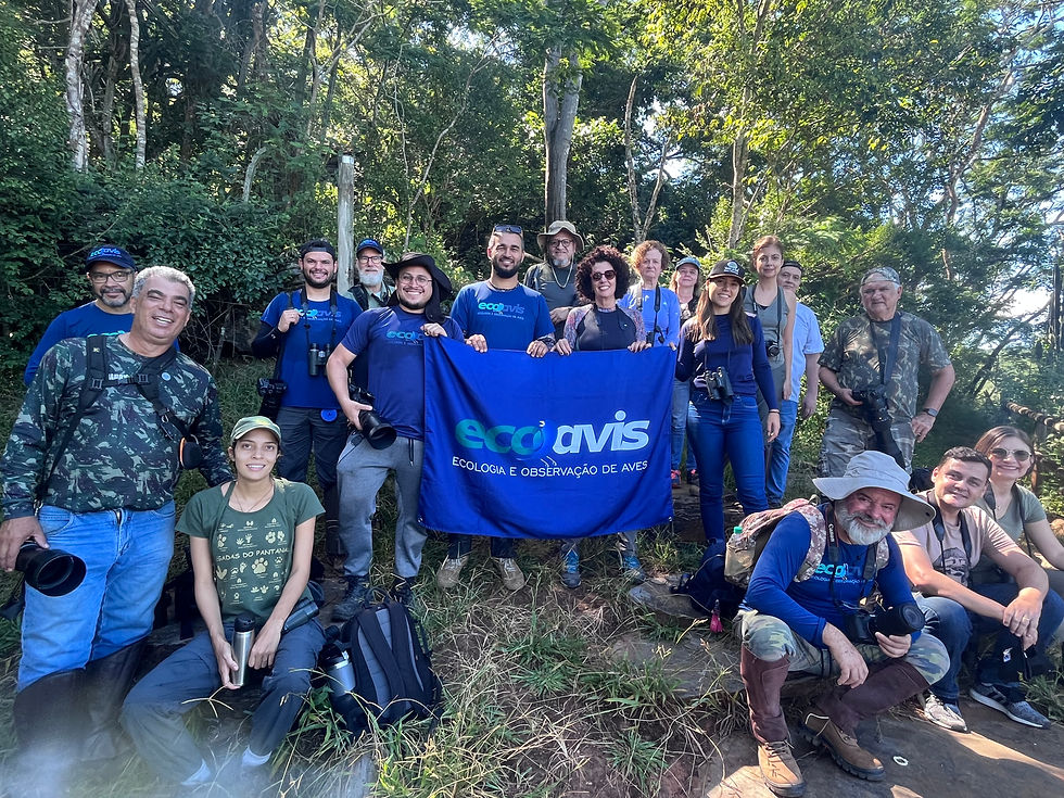 Ecoavis no Parque Estadual do Sumidouro (Lagoa Santa/MG)