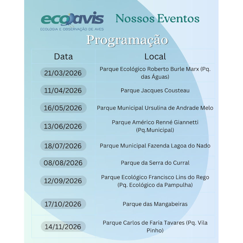 Avistavis Belo Horizonte 2026 - programação 