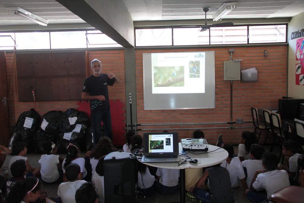 ecoavis ecoescola 3